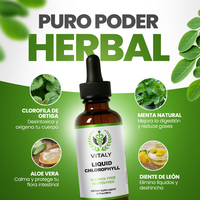 Gotas de Clorofila | Detox Intestinal
