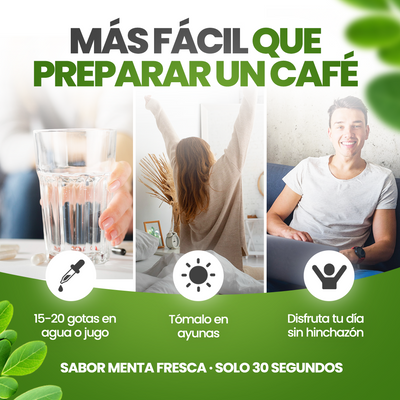 Gotas de Clorofila | Detox Intestinal