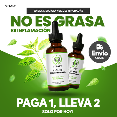 Gotas de Clorofila | Detox Intestinal