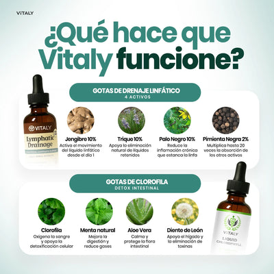 Gotas Vitaly® | Pack Reset (Linfático+Clorofila)