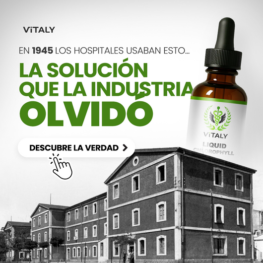 Gotas de Clorofila | Detox Intestinal