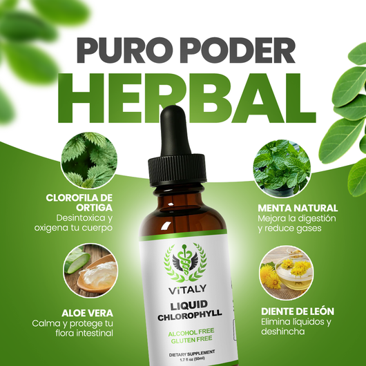 Gotas de Clorofila | Detox Intestinal