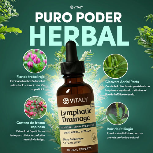 Gotas Drenaje Linfático Natural | Apoyo al Sistema Linfático | Trébol Rojo, Equinácea y Cleavers | 50ml