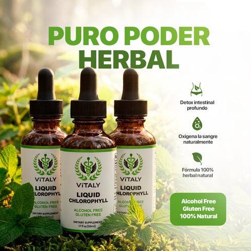 Gotas de Clorofila | Reductor de inflamación