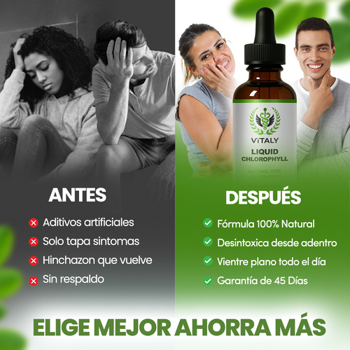 Gotas de Clorofila | Detox Intestinal